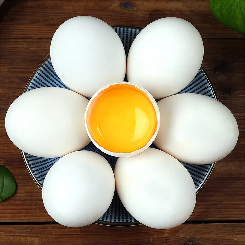 新鲜土鹅蛋正宗农家散养五谷杂粮现捡大鹅蛋孕妇无激素