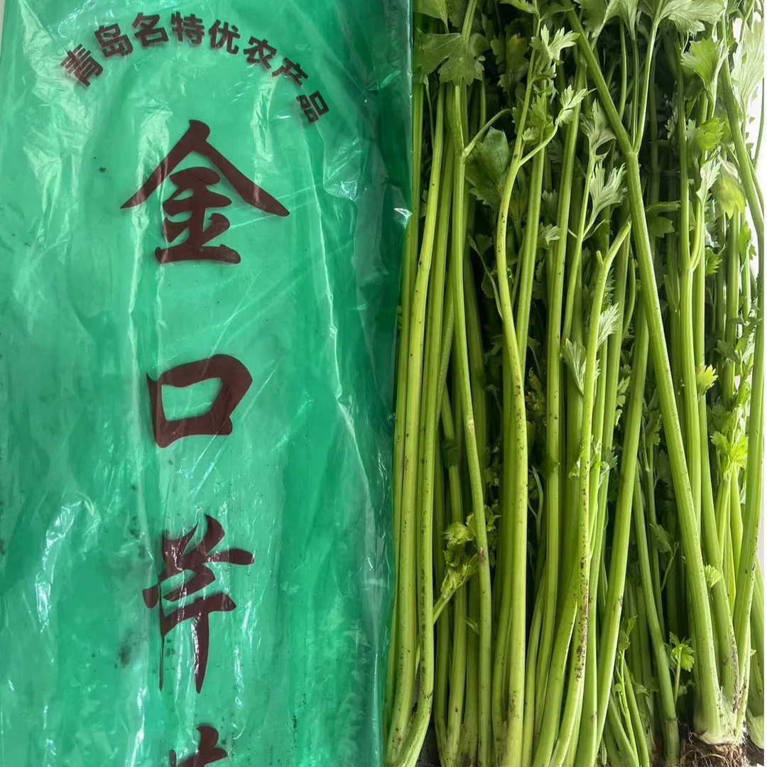 金口芹菜5斤新鲜蔬菜精品即食实心特产嫩芯装炒菜凉拌营养