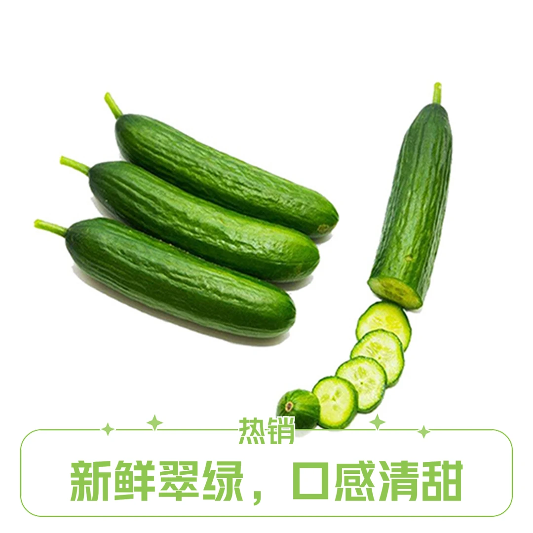水果黄瓜500g