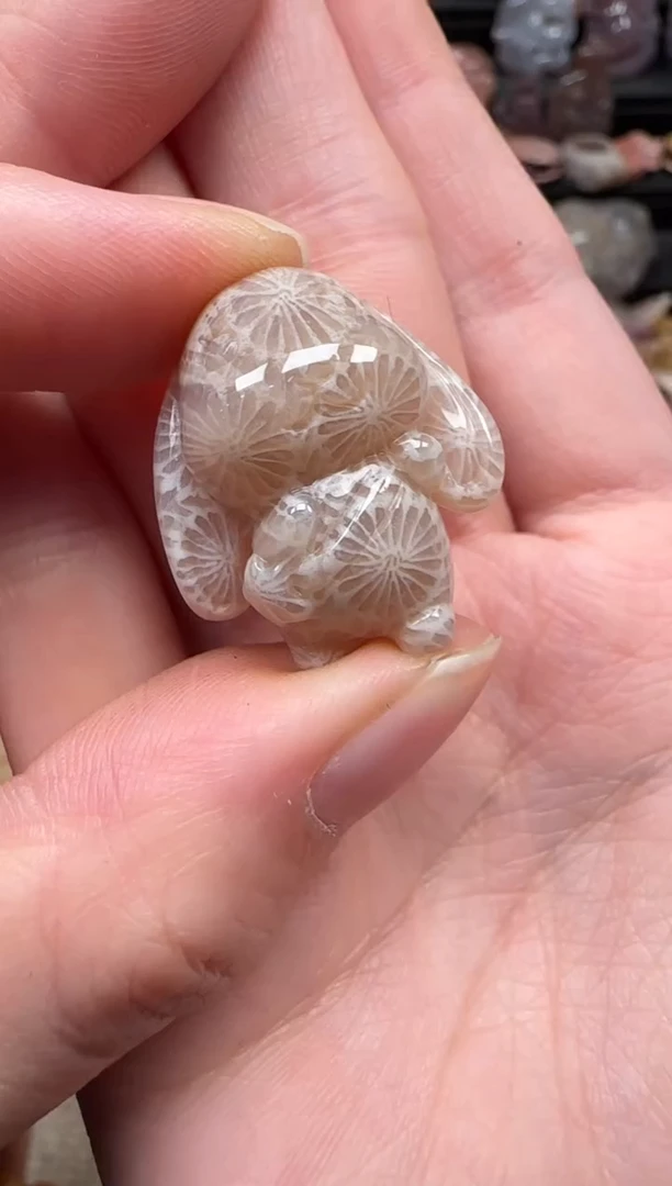 颈饰未镶嵌硅化珊瑚（珊瑚玉）206