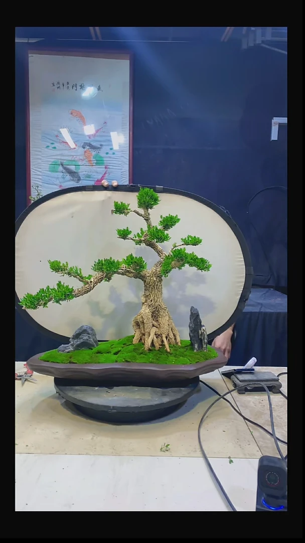 无花朵温***?1111111111111