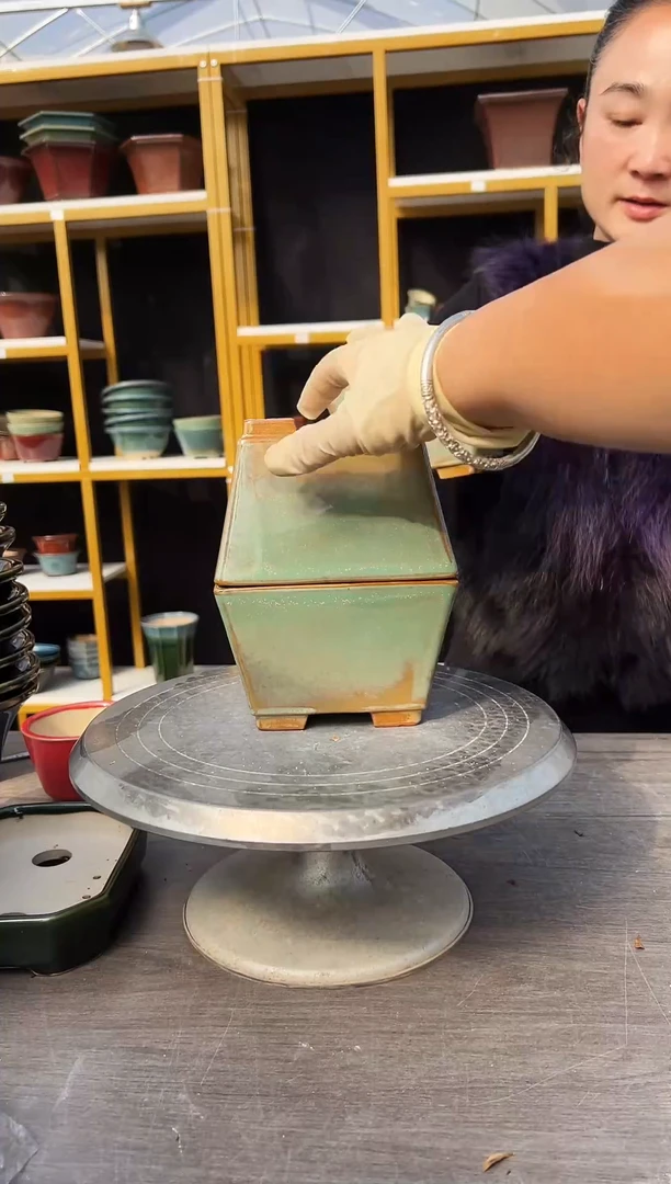 G****+58号两个绿色组合