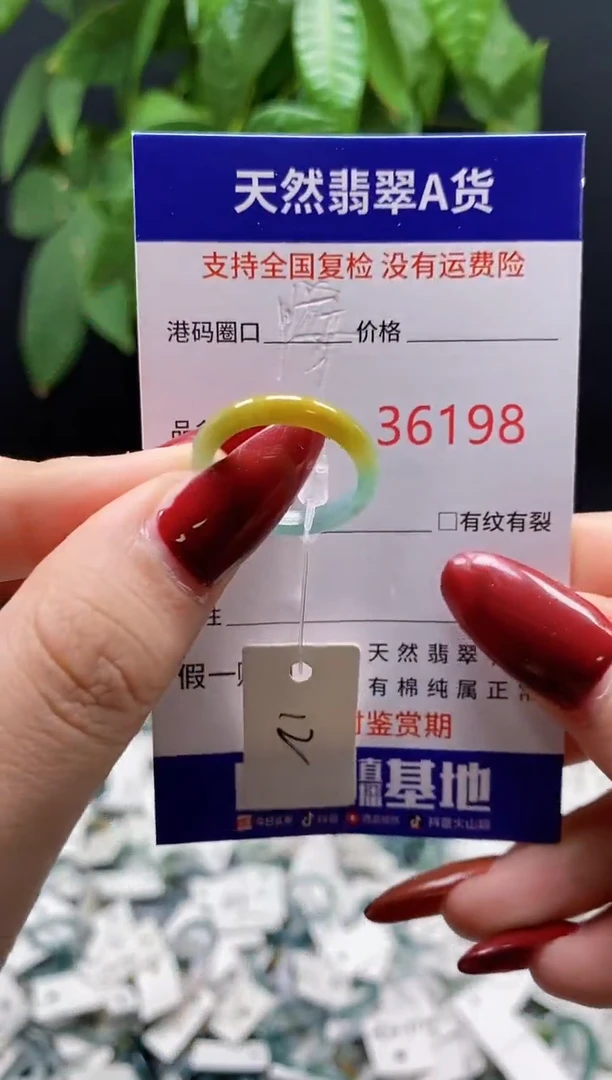 翡翠戒指未镶嵌天然翡翠戒圈6198