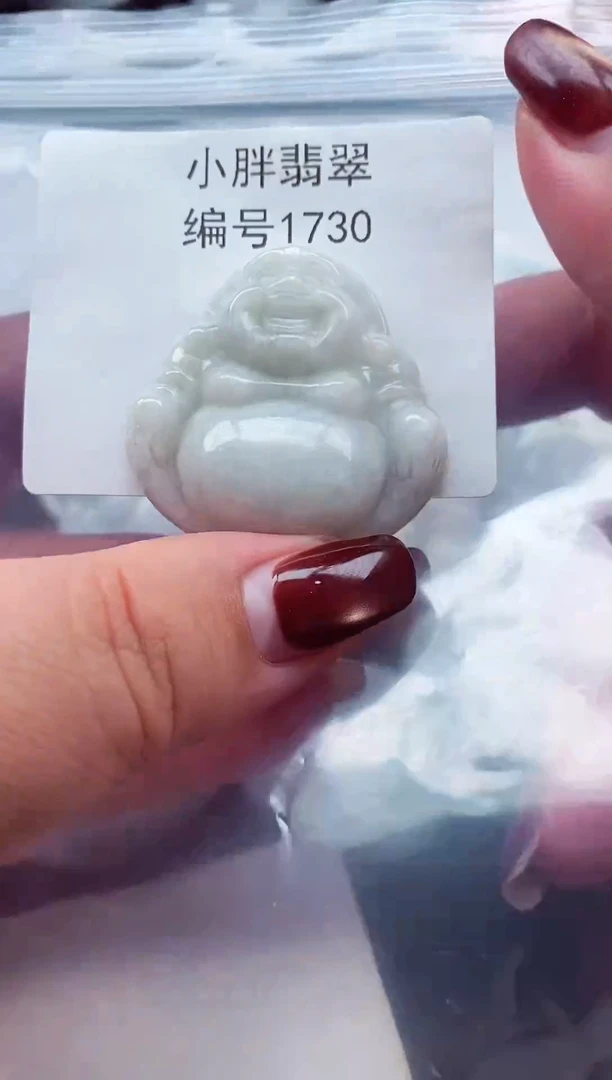 颈饰未镶嵌翡翠缅甸天然A货翡翠1730