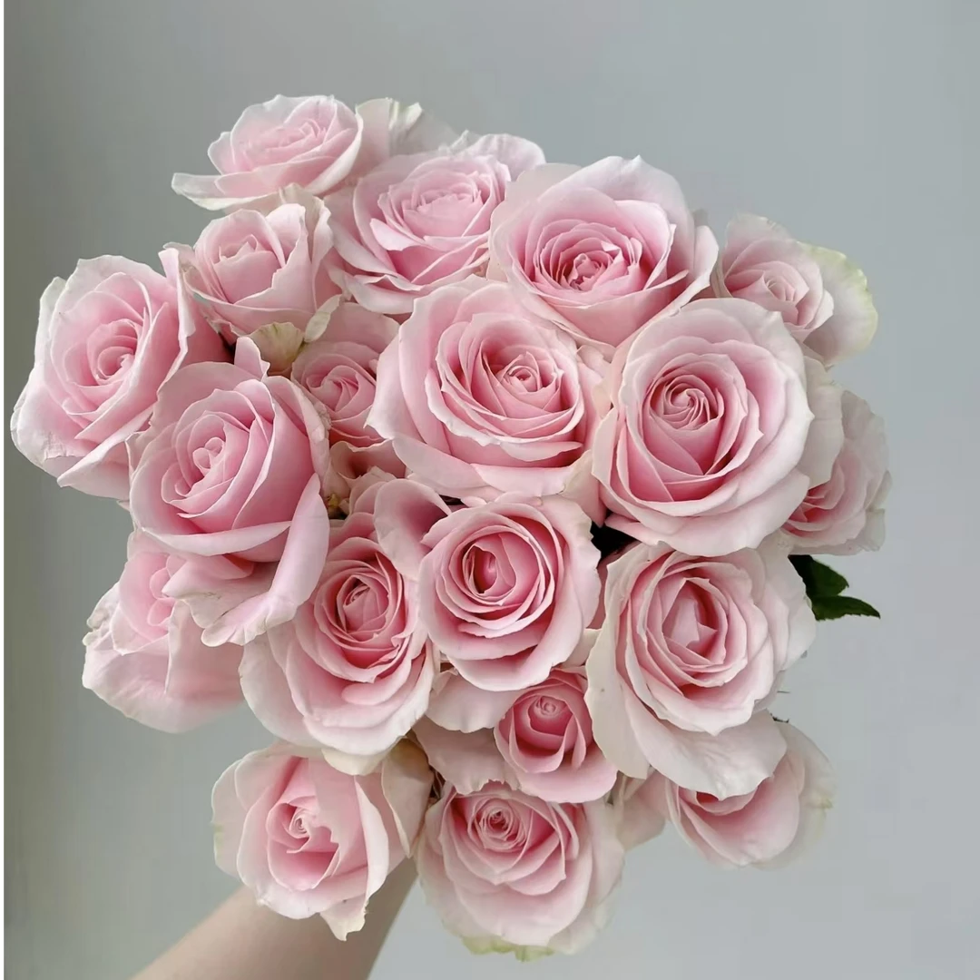 【花之洲】小南瓜1扎+任意花材1扎