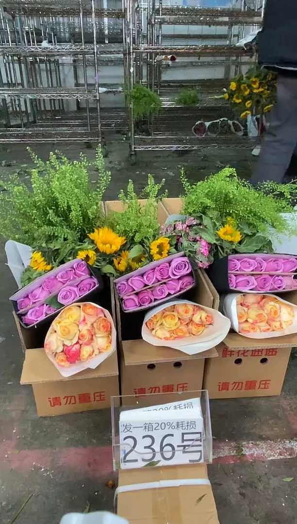 236号♥含20%耗损发一箱