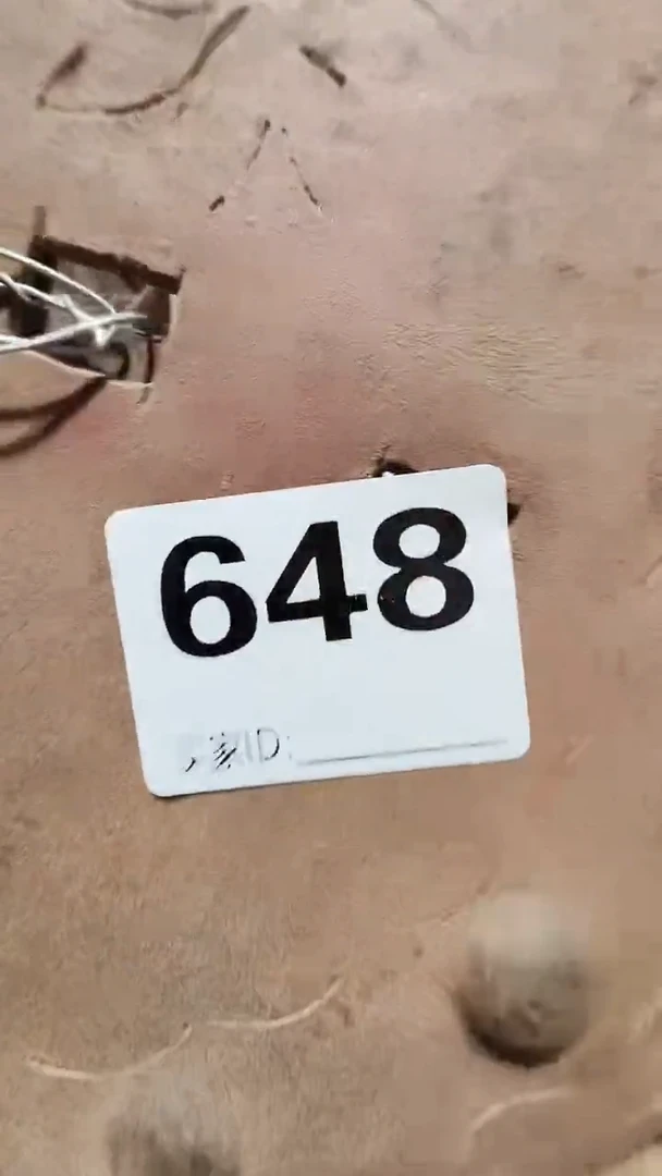 0818老王直播间专属链接