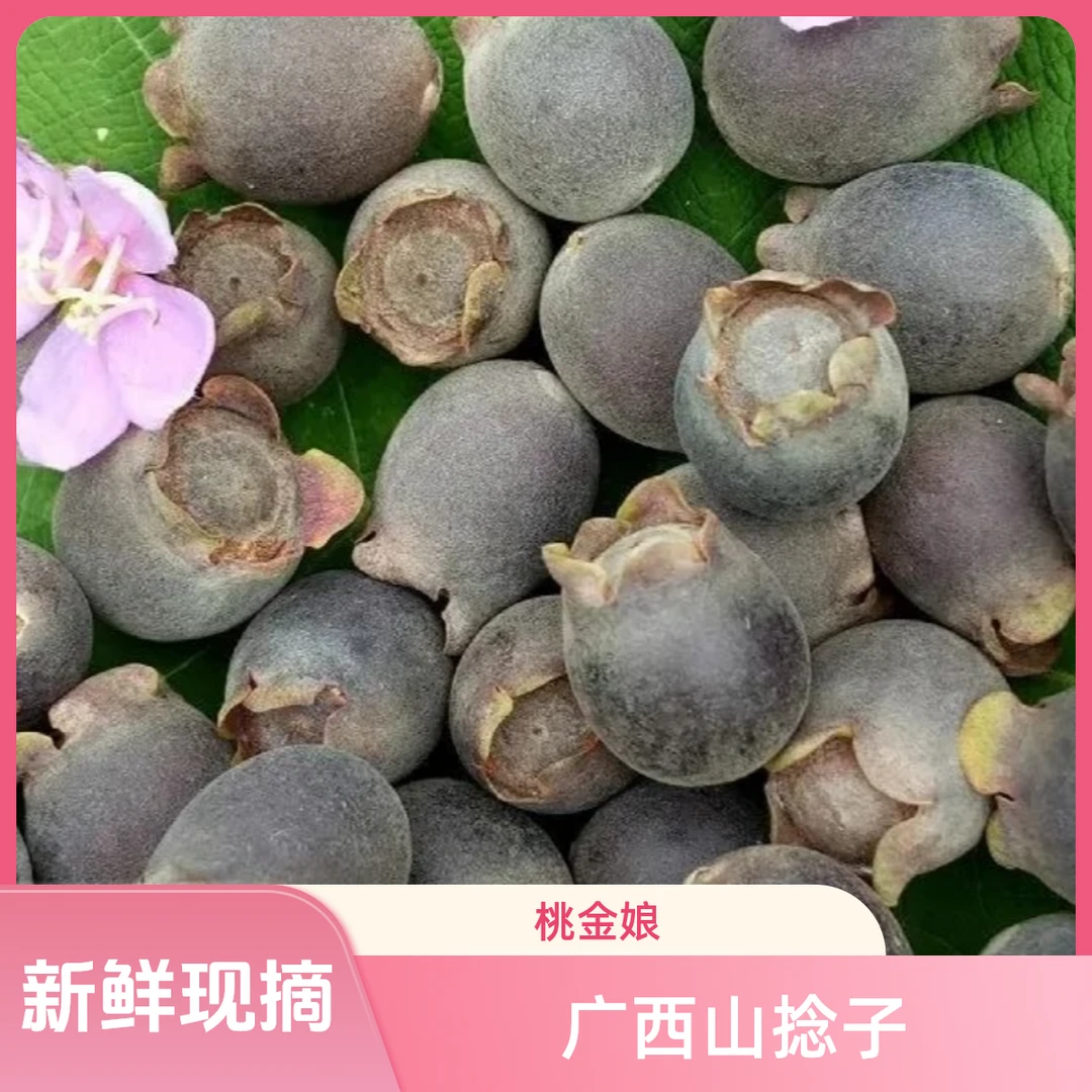 【顺丰/京东包邮】新鲜现摘广西桃金娘山捻子天然新鲜野生采摘多尼