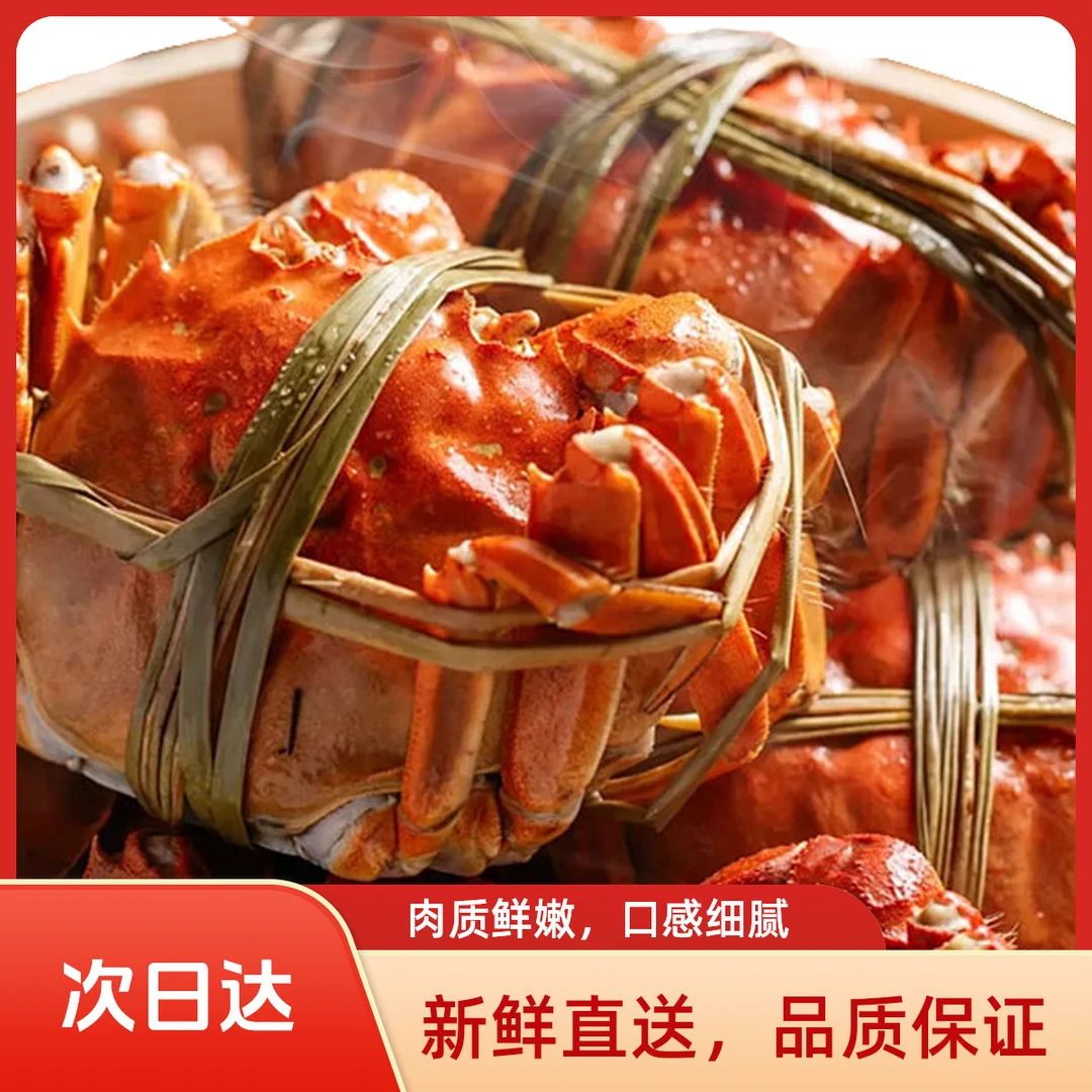 【活蟹现发】大闸蟹公蟹3.6-3.3两8只+2只苏州鲜活精品螃蟹海鲜京东冷链包邮次日达