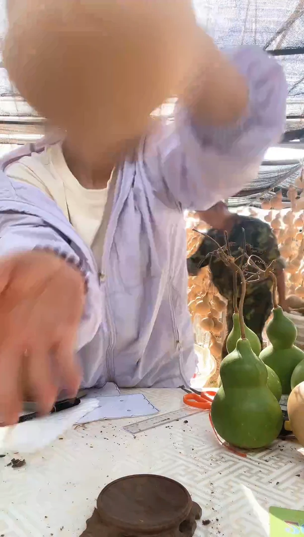 100天然葫芦摆件 一物一拍