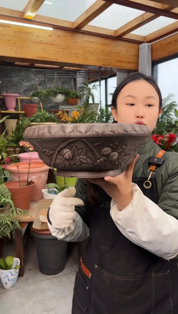 30.5*11.5/巧克力色手工荔枝浮雕碗莲盆/TB30