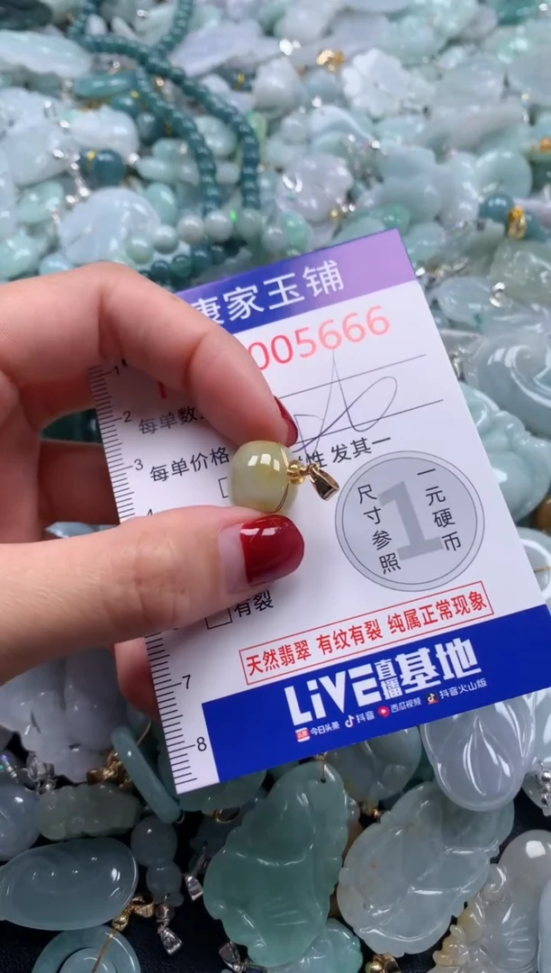 颈饰未镶嵌翡翠5666