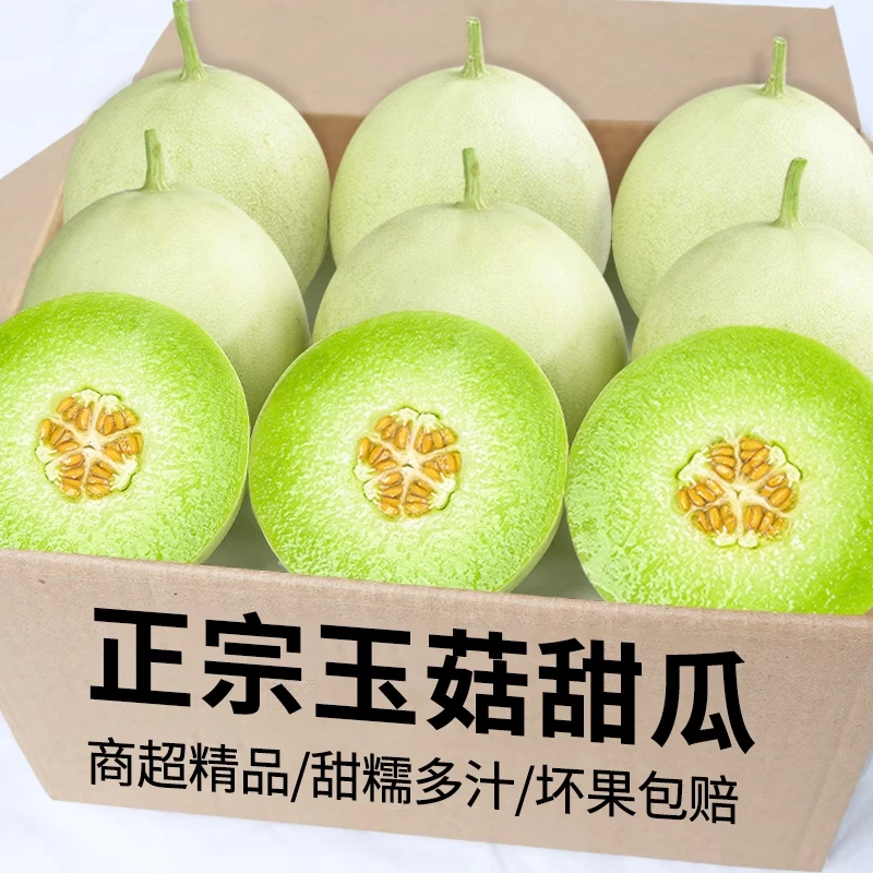【顺丰京东/必尝】山东正宗玉菇甜瓜冰激凌甜瓜软糯香甜新鲜水果甜