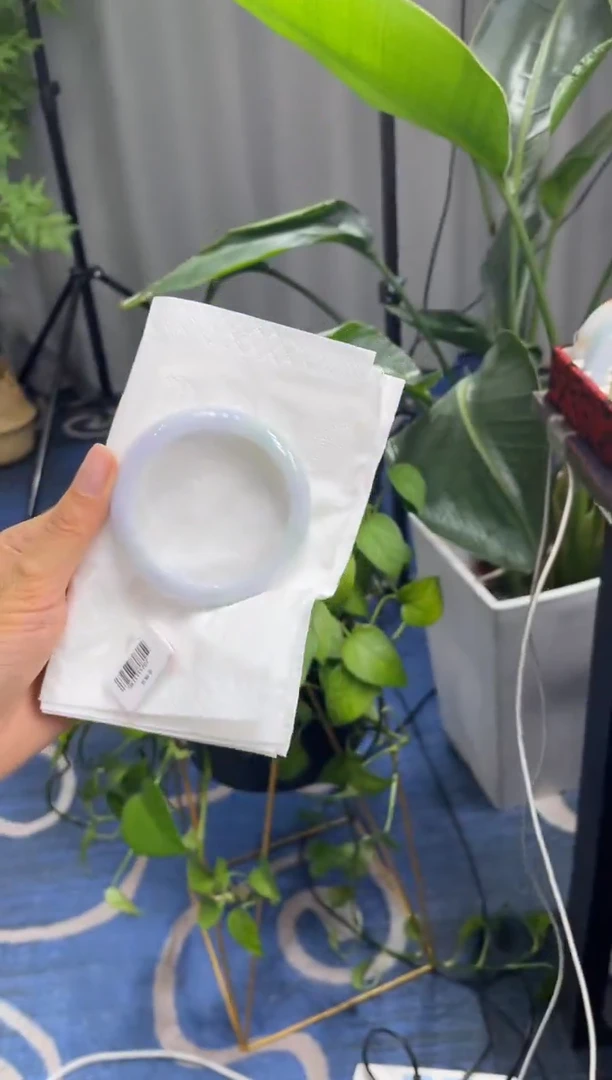 未镶嵌手镯翡翠6065