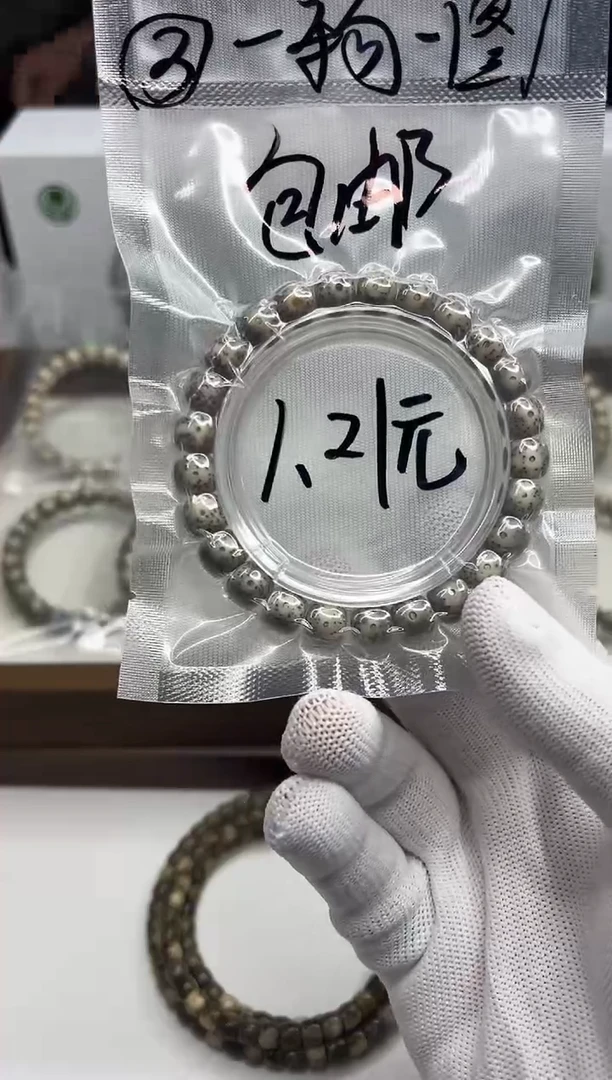 星月菩提手串109  （3）