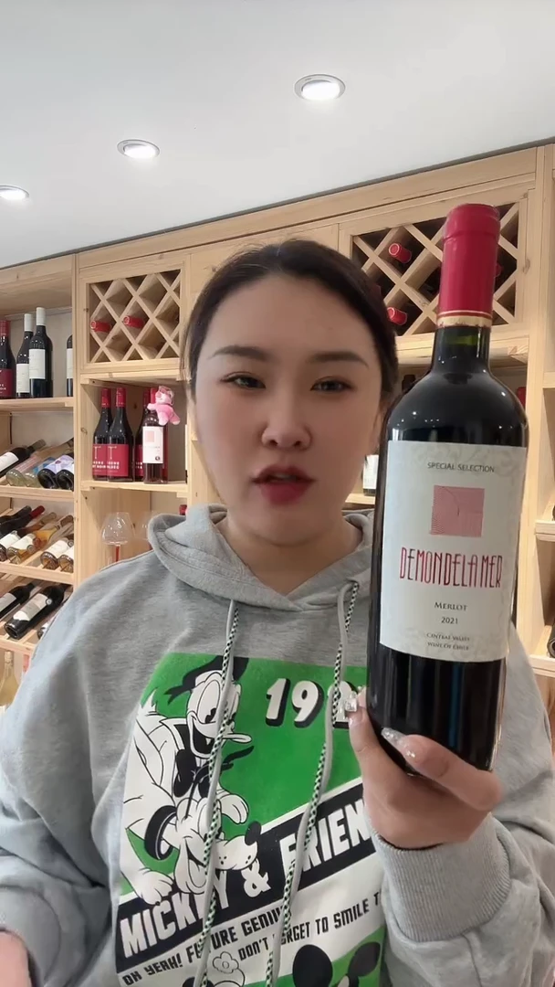 智利美乐干红原装原瓶进口葡萄酒