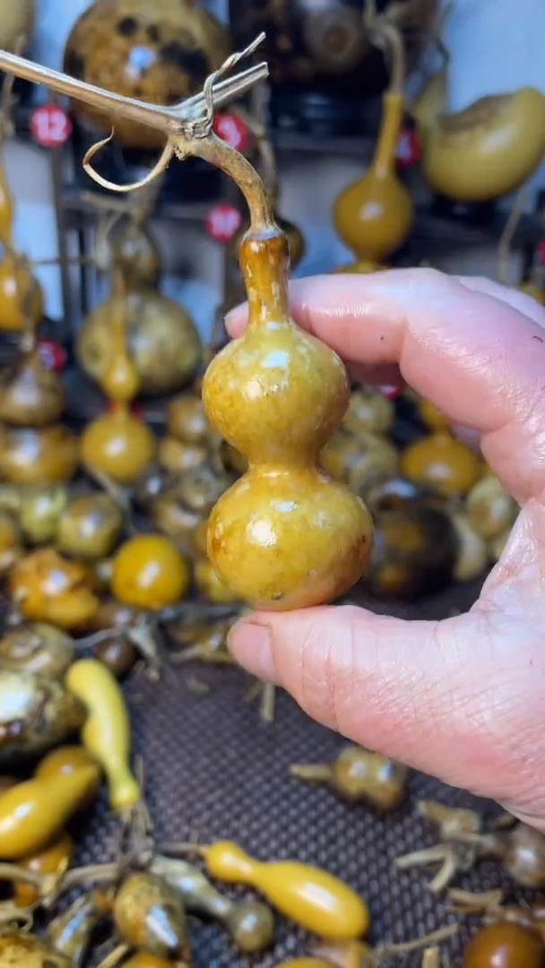 葫芦葫芦葫芦葫芦葫芦