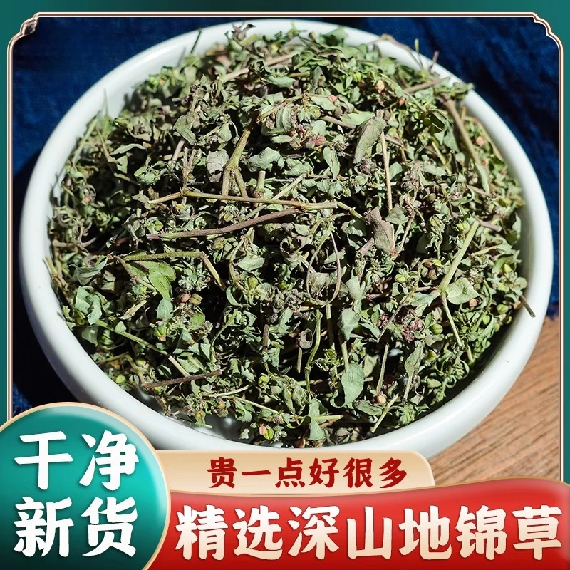 深山地锦草新货精选斑地锦草奶汁浆草泡水煮水另售茵陈白蒿