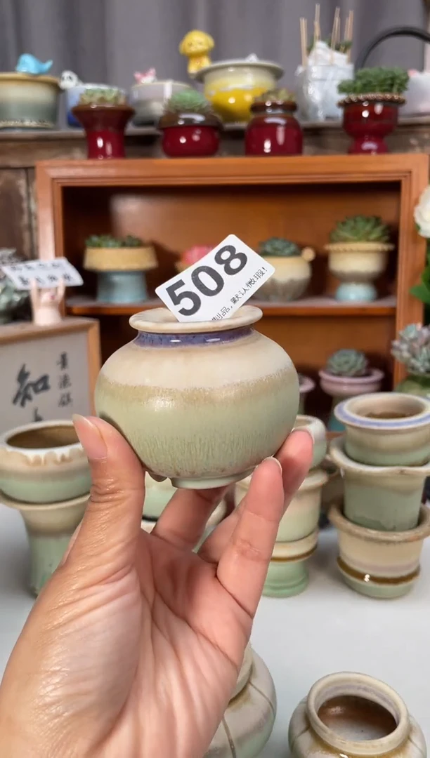 瓷片?*维508小芳直播编号