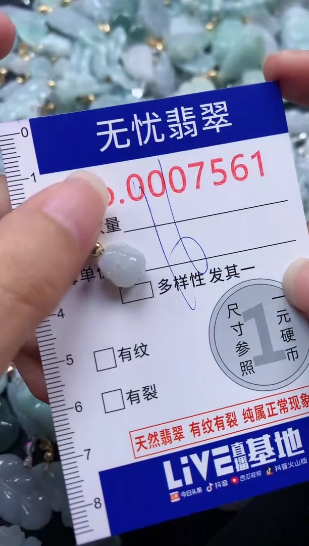 颈饰未镶嵌翡翠7461