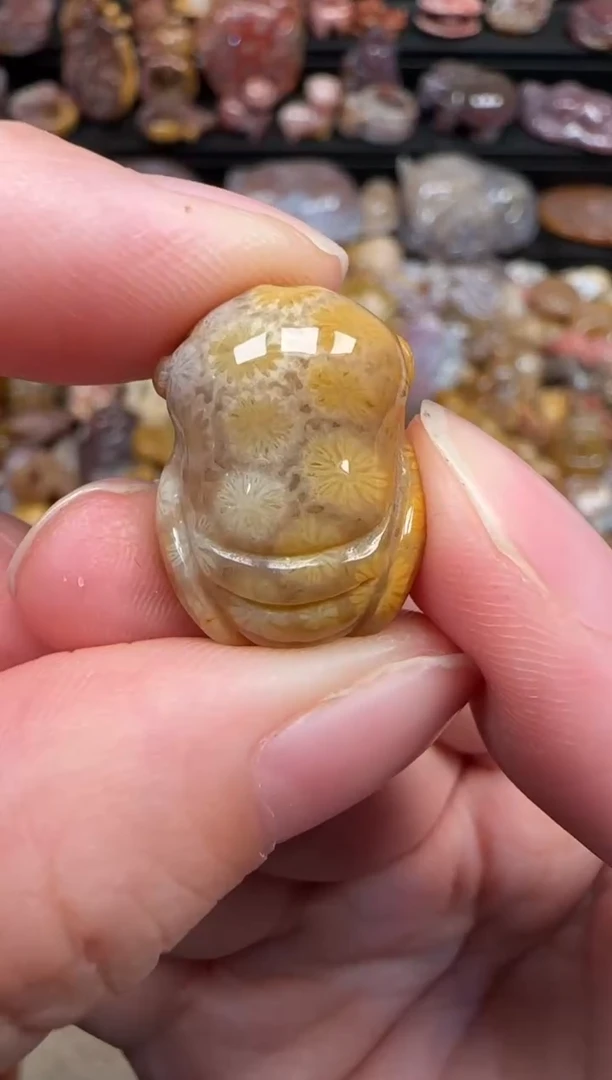 颈饰未镶嵌硅化珊瑚（珊瑚玉）302