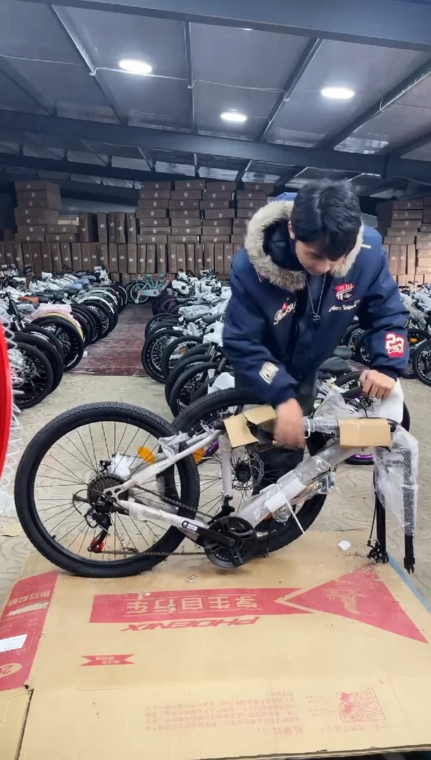 24寸-24速-棕【运损微瑕，不退不换】