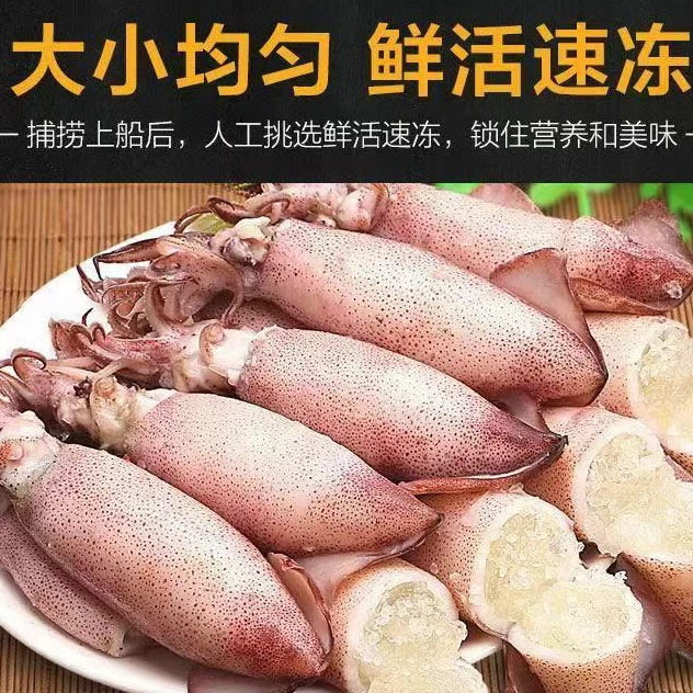 【满籽海兔】新鲜满籽 带膏籽乌笔管鱼 350g/袋 到手5袋50只