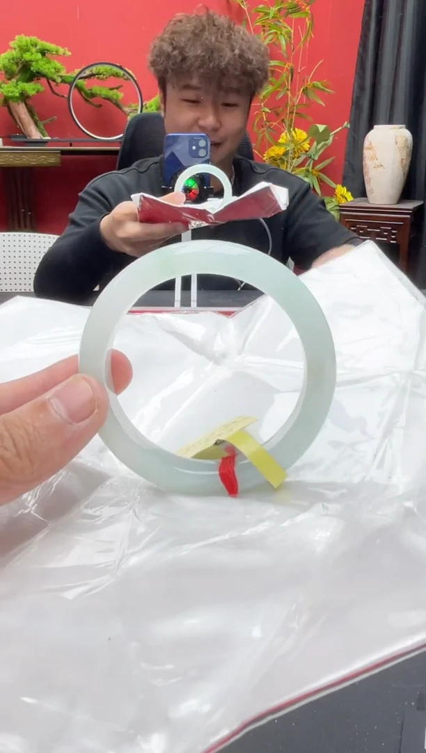 未镶嵌手镯翡翠8