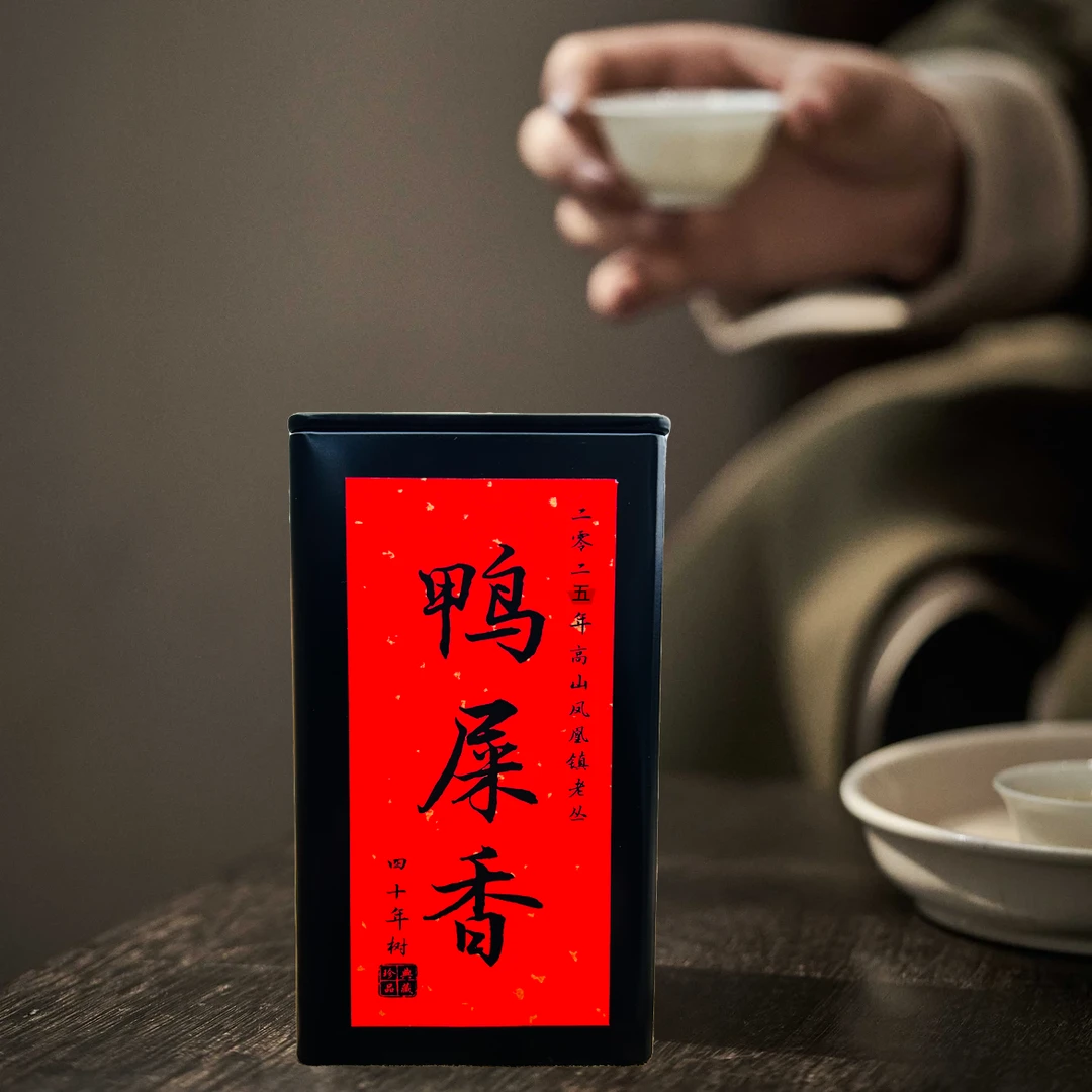 【阿楠精选】2025年头春鸭屎香高山凤凰镇老丛非常好喝一罐100克装