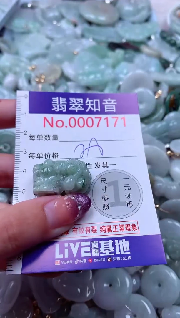 翡翠未镶嵌吊坠(不含链)7171
