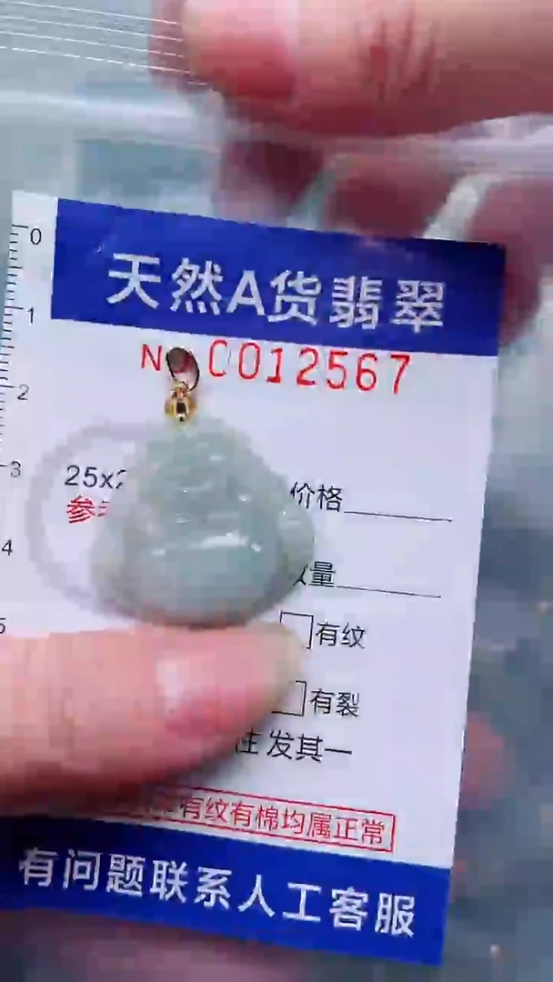 翡翠未镶嵌吊坠(不含链)1