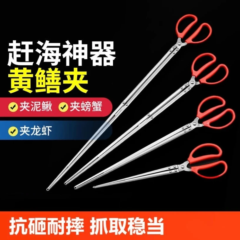 主播同款鳝鱼夹子