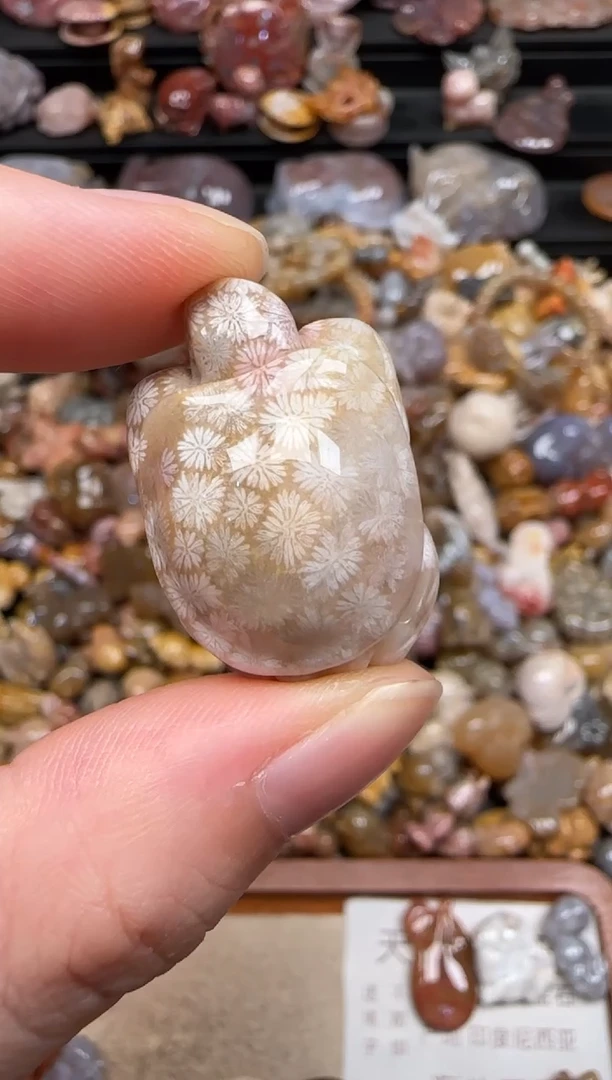 硅化珊瑚（珊瑚玉）未镶嵌颈饰540