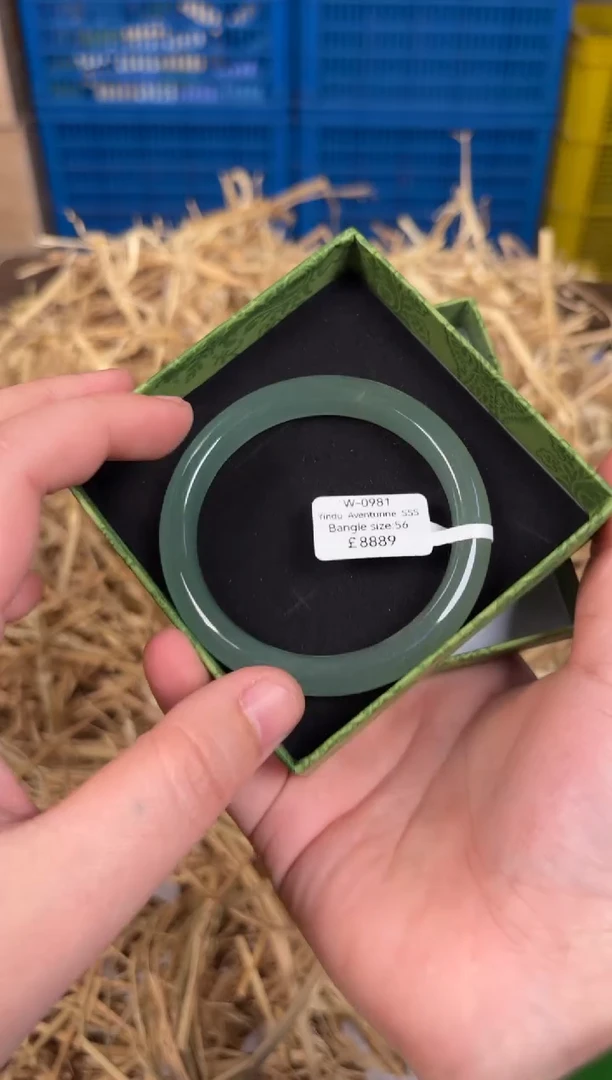 未镶嵌手镯石英质玉W0981