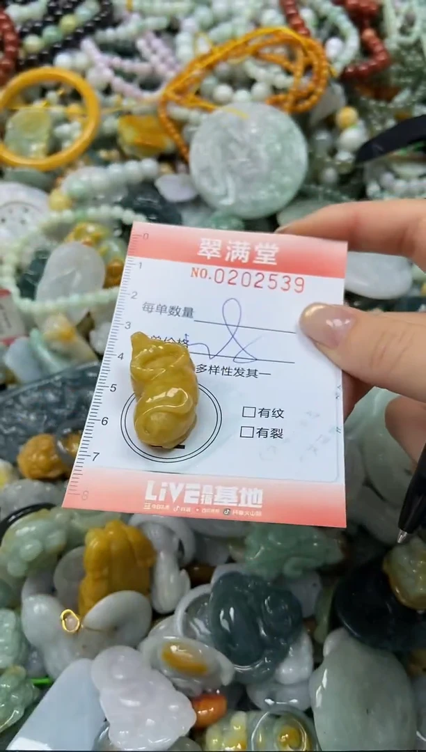 颈饰未镶嵌翡翠闪购0202539