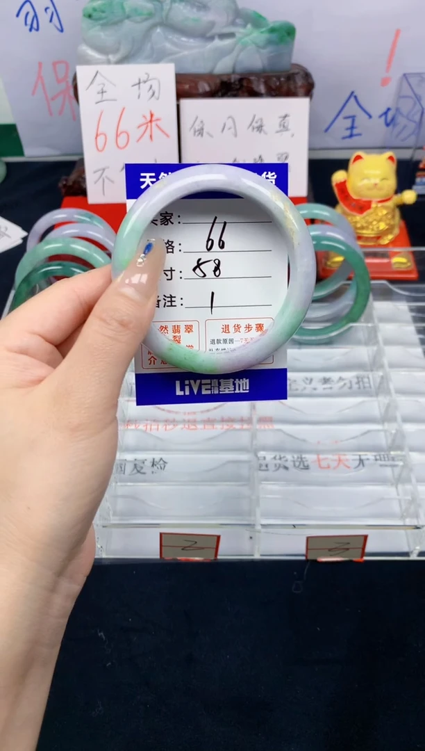 未镶嵌手镯翡翠1