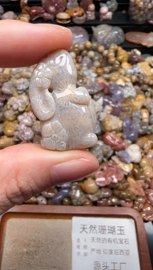 硅化珊瑚（珊瑚玉）未镶嵌颈饰648