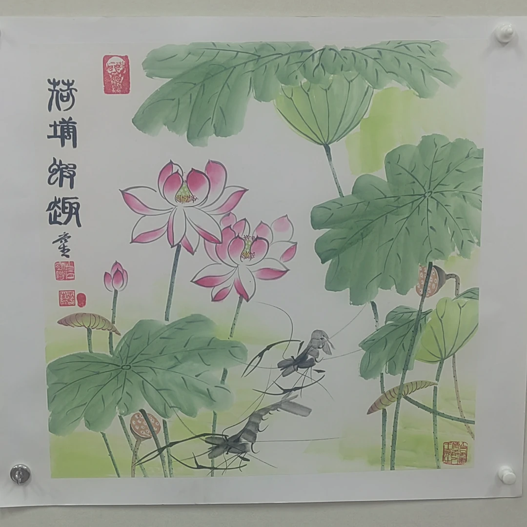 鲁拍艺术——《四尺斗方荷花虾（邮）》