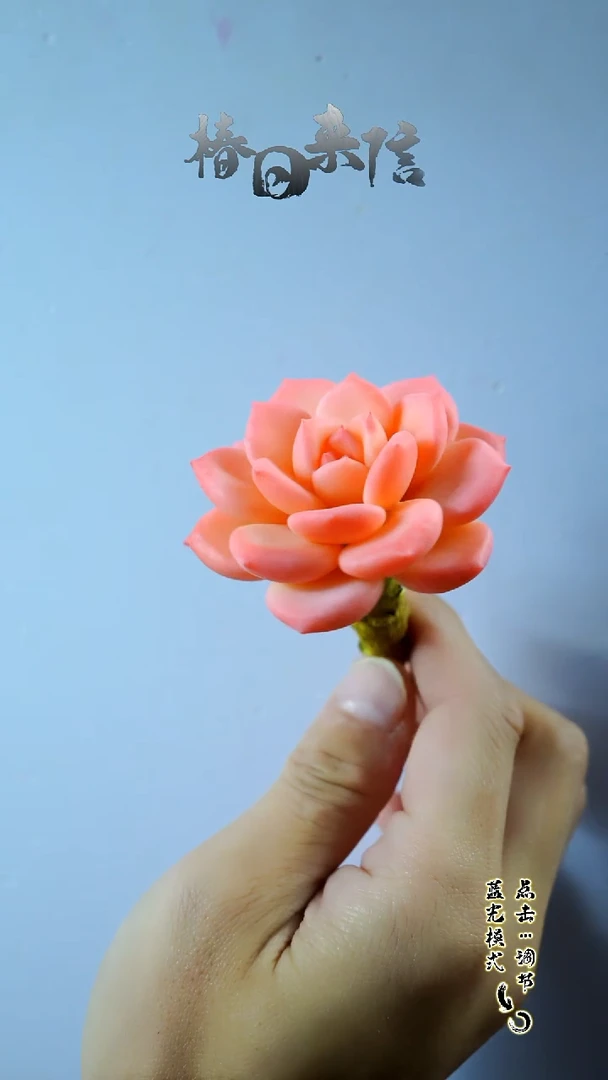 白茶。。。。。。。。。。。。。。