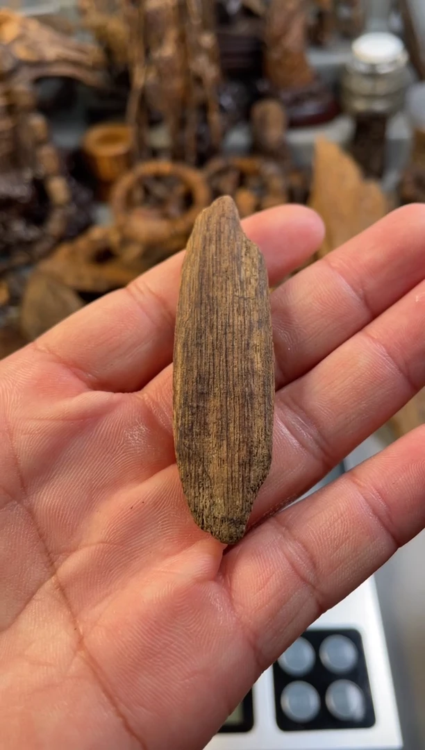 【闪购商品】沉香沉香碎屑 沉香   土沉 沉香   土沉