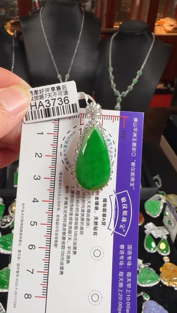 颈饰18K金镶嵌翡翠HA3736冰绿滴水