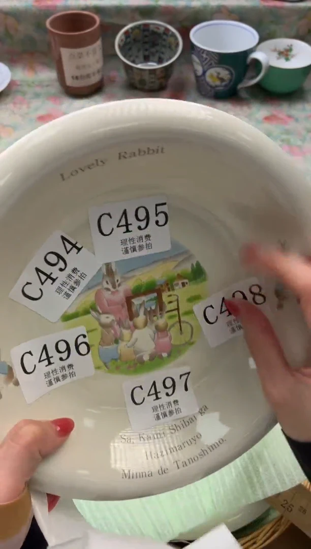 瓷片白***?       C496