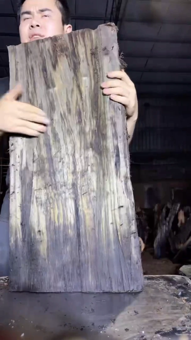 金丝楠67金丝楠小叶桢楠