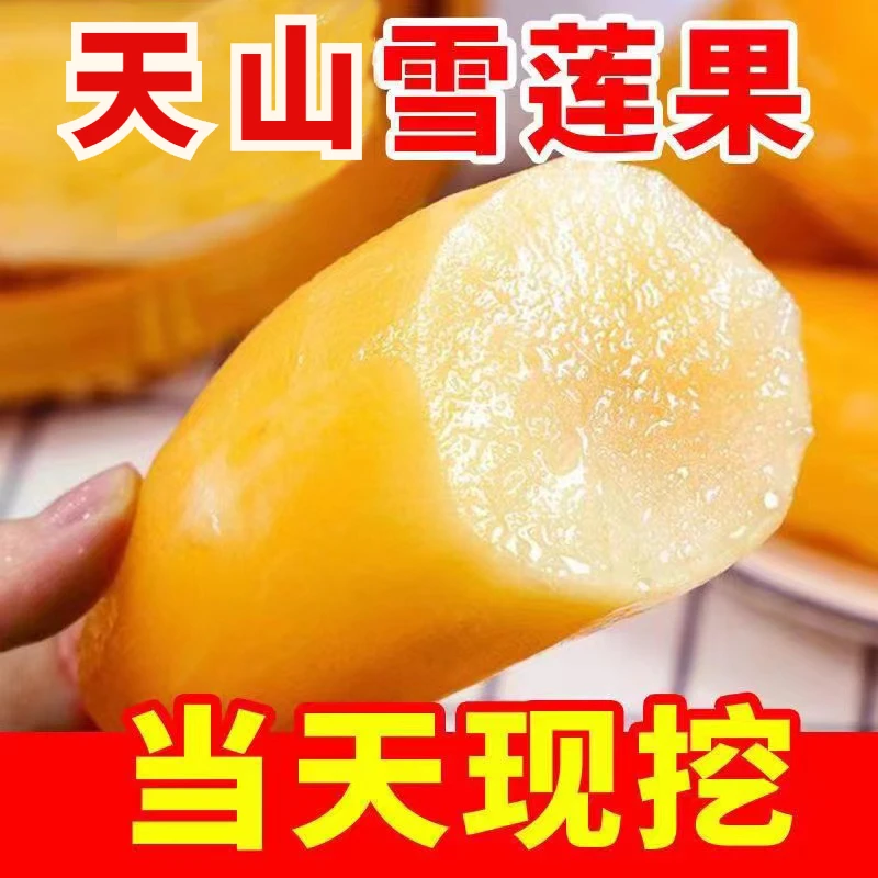 云南高山10斤正宗雪莲果现挖脆甜多汁产地直发