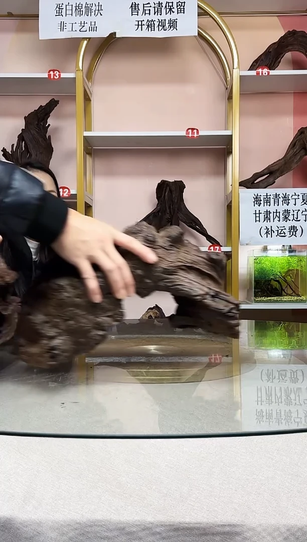 文****者紫柚木一物一拍A686