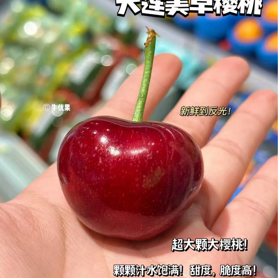 【来此购专属】美早大樱桃3J一盒1斤（个别皮毛不好，介意勿拍）美早辽宁省