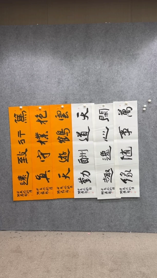 【闪购商品】书法pmw不二轩旗舰店书法xw4