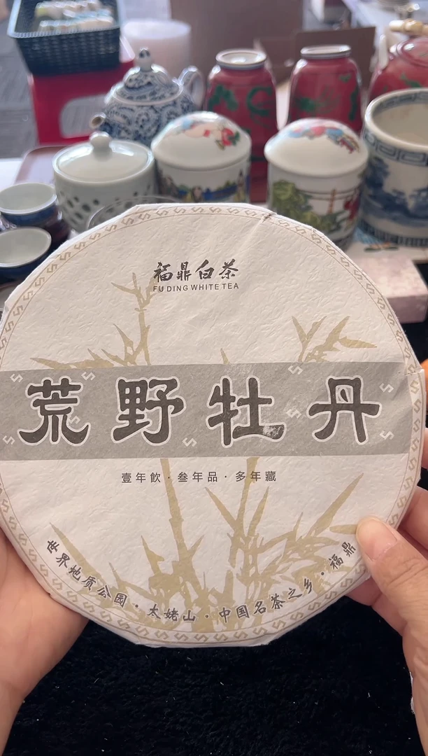 嗨淘家瓷器-福鼎白茶