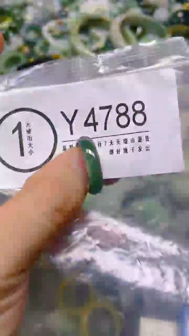 翡翠未镶嵌颈饰18/Y/翡翠A货,一件也是批发价