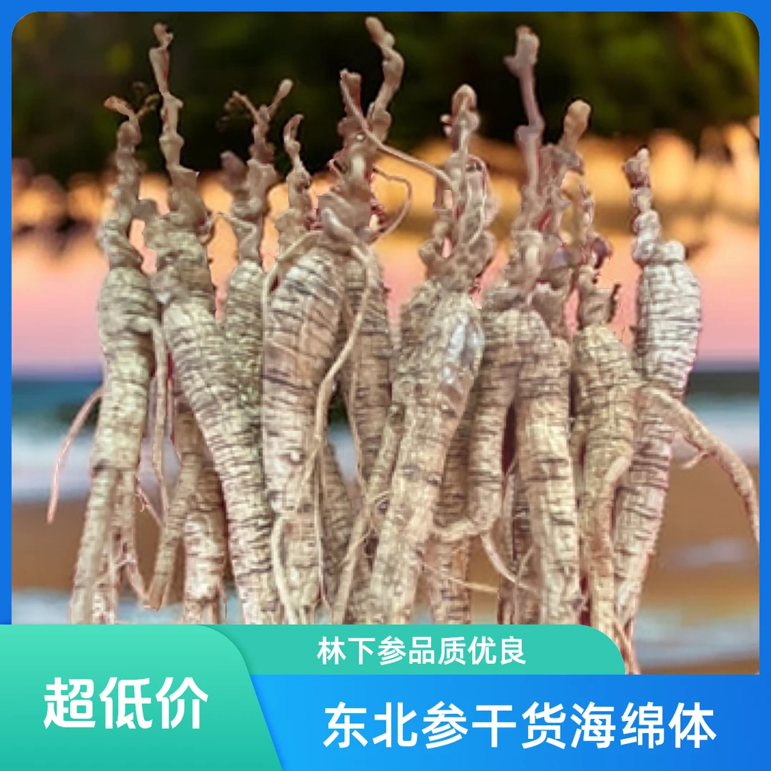 东北林下山参干参池底参海绵体（一物一拍）